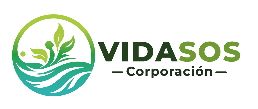 vidasos.org